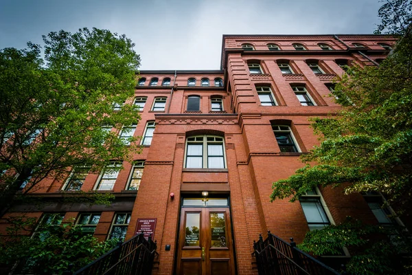 The Museum of Comparative Zoology, at Harvard University, in Cam — Stock Photo, Image