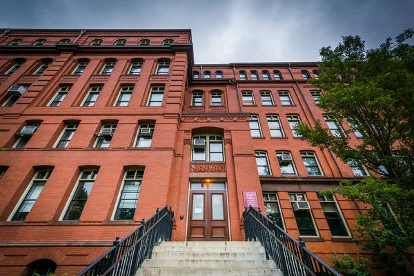 El Museo de Zoología Comparada de la Universidad de Harvard, en Cam — Foto de Stock