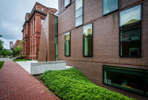 O Edifício de Antropologia Tozzer, na Universidade de Harvard, em Camb — Fotografia de Stock