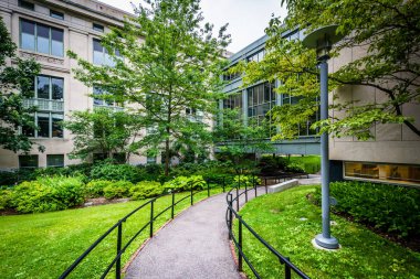 Geçit ve Griswold Salonu'nda Cambridge Harvard Hukuk Fakültesi, 