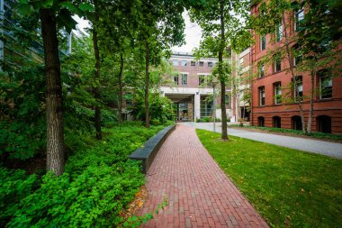 Geçit ve Binalar, Harvard Üniversitesi, Cambridge, Massa