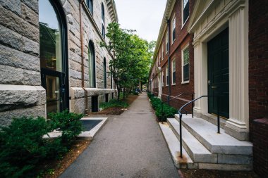 Geçit ve Binalar, Harvard Üniversitesi, Cambridge, Massa