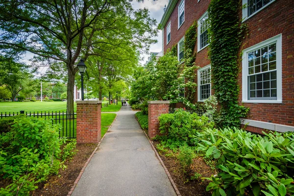 Chodník a Hamilton Hall, na Harvard Business School v Bostonu, — Stock fotografie