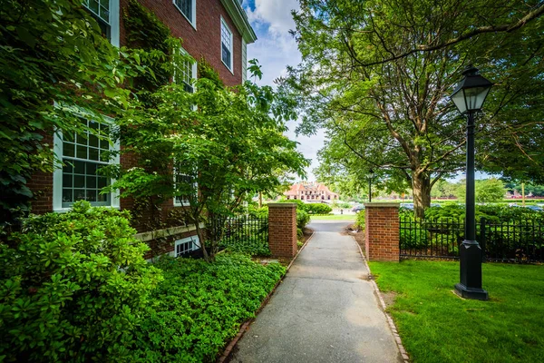 Walkway and Hamilton Hall, at Harvard Business School in Boston, — Stock Photo, Image