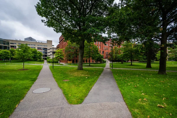 Walkway and buildings at Harvard University, in Cambridge, Massa — Stock Photo, Image