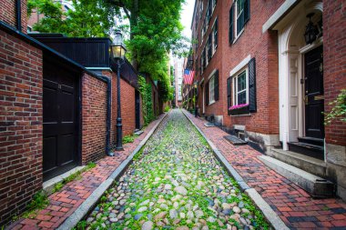 meşe palamudu beacon hill, boston, massachusetts, sokak.