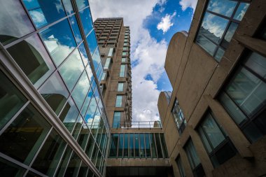 Boston Üniversitesi, Boston, Massachusetts'nde binalar.