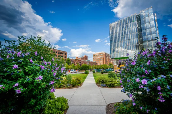 Giardini ed edifici della Boston University, a Boston, Massachusetts — Foto Stock
