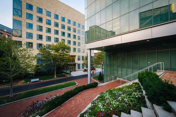 Gardens and modern buildings at Northeastern University, in Bost — Stock Photo, Image