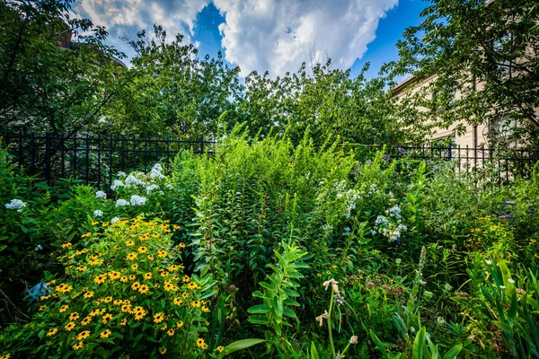 Сады в Southwest Corridor Park, в Back Bay, Бостон, Массач — стоковое фото