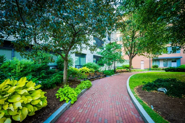 Giardini e passerella alla Northeastern University, a Boston, Massa — Foto Stock