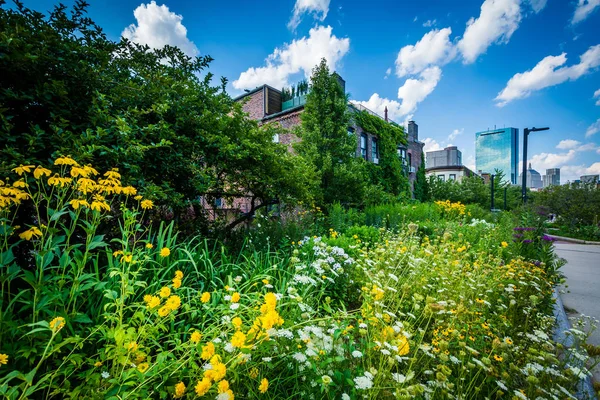 Trädgårdar i sydväst korridoren Park, i Back Bay, Boston, Massach — Stockfoto