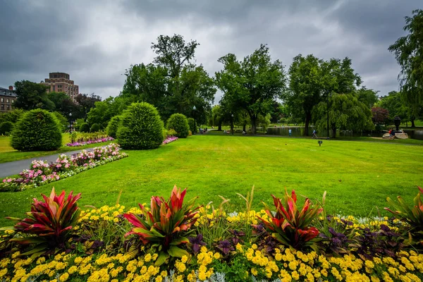 Trädgårdar på Public Garden, i Boston, Massachusetts. — Stockfoto