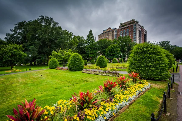 Κήποι στο δημόσιο κήπο, στη Βοστώνη, Μασαχουσέτη. — Φωτογραφία Αρχείου