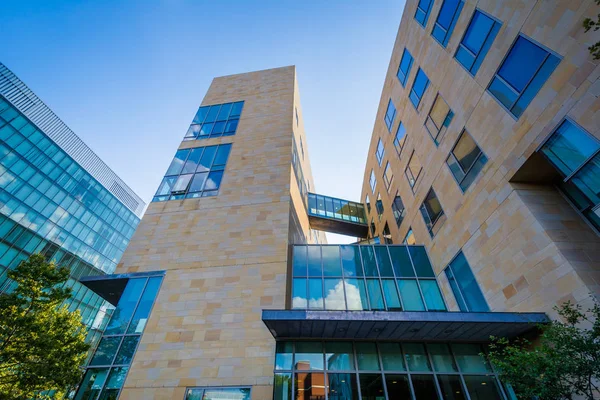 Modern, Boston'daki Northeastern Üniversitesi'nde Massachus bina — Stok fotoğraf