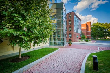 Geçit ve Binalar Mas, Boston'daki Northeastern Üniversitesi'nde