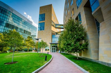 Geçit ve Binalar Mas, Boston'daki Northeastern Üniversitesi'nde