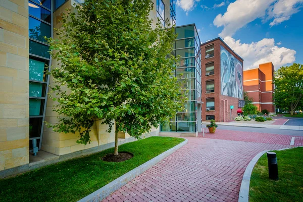 Pasarela y edificios de la Northeastern University, en Boston, Mas — Foto de Stock