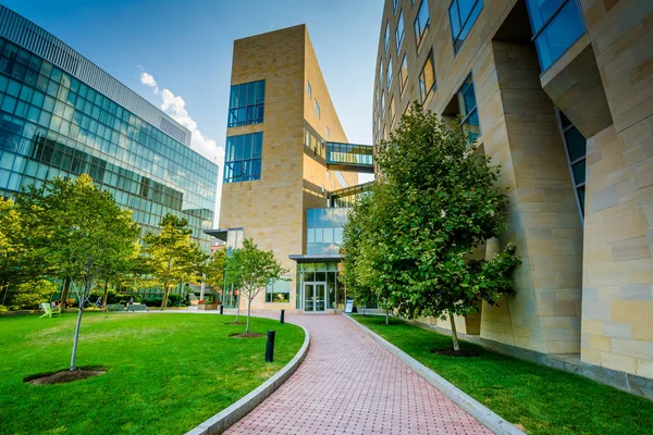 Gångväg och byggnader vid Northeastern University i Boston, Mas — Stockfoto