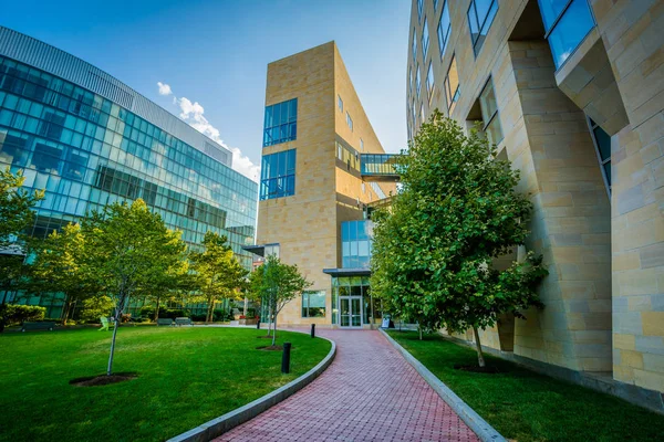 Pasarela y edificios de la Northeastern University, en Boston, Mas — Foto de Stock