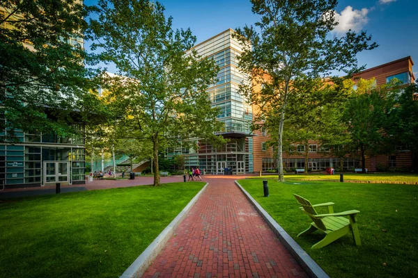 Gångväg och byggnader vid Northeastern University i Boston, Mas — Stockfoto