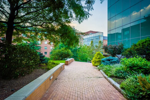 Loopbrug en gebouwen aan de Northeastern University in Boston, Mas — Stockfoto