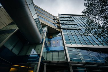 Modern olarak Massachusetts Teknoloji Enstitüsü'nde, Bina