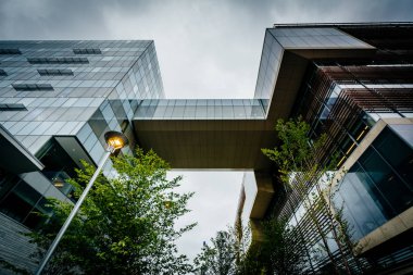 Modern olarak Massachusetts Teknoloji Enstitüsü'nde, Bina