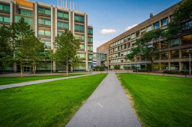 Geçit ve Massachusetts Enstitüsü'nde modern binalar 