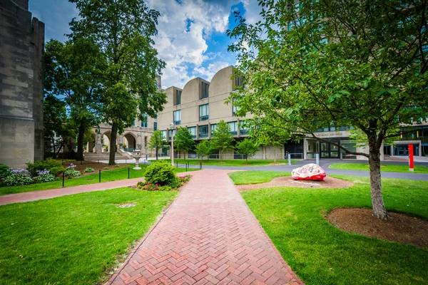 Passeios e edifícios na Universidade de Boston, em Boston, Massachu — Fotografia de Stock