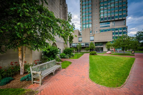 Pasarelas y edificios de la Universidad de Boston, en Boston, Massachu — Foto de Stock