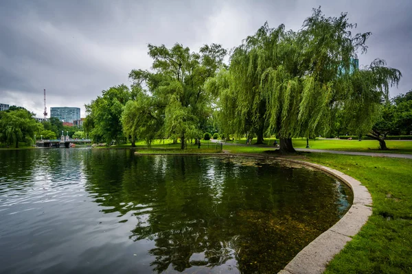 Salgueiros chorando e o lago no Jardim Público em Boston — Fotografia de Stock