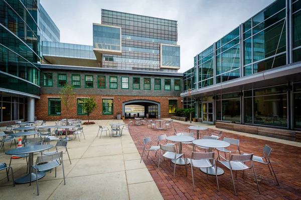 Modern bina ve avlu Massachusetts Enstitüsü'nde 