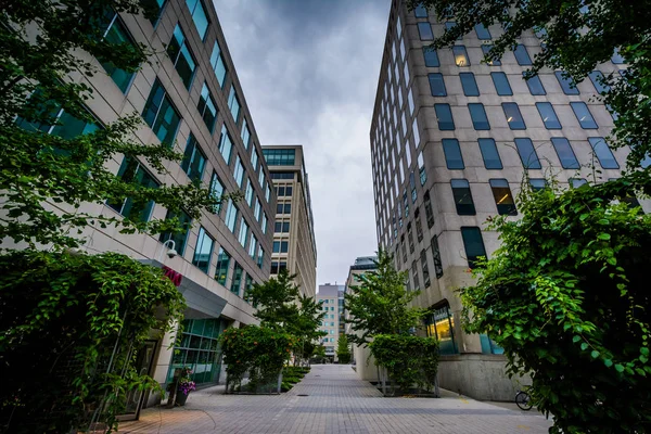 Bilfria plaza och byggnader i Cambridge, Massachusetts. — Stockfoto