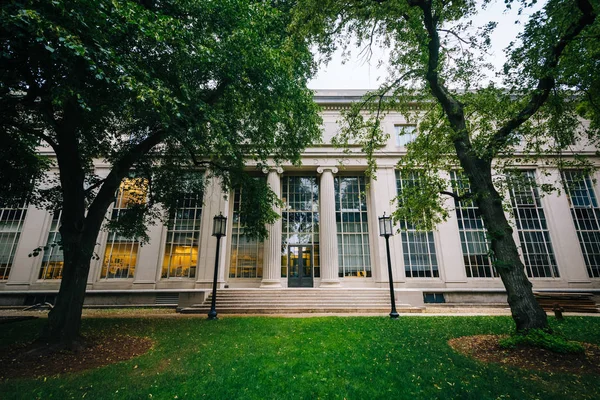Trees and building at the Massachusetts Institute of Technology, — Stock Photo, Image