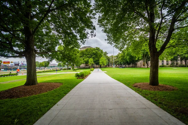 Träd och gångväg vid Massachusetts Institute of Technology, — Stockfoto