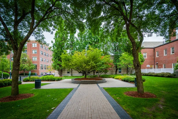 Chodník a budovy v Massachusetts institut tech — Stock fotografie