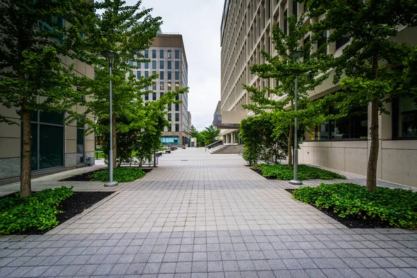 Gångväg och byggnader i Cambridge, Massachusetts. — Stockfoto