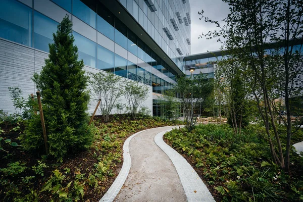Gångväg och en modern byggnad vid Massachusetts Institute av vävnadsinrättningen — Stockfoto