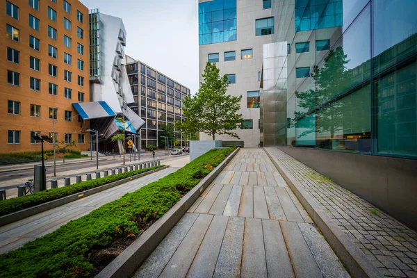 Walkway and the Picower Institute for Learning and Memory, at th — Stock Photo, Image