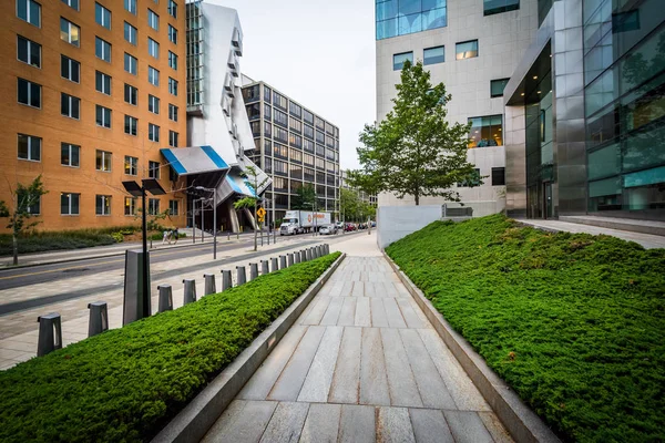 Loopbrug en het Picower Instituut voor leren en geheugen, bij th — Stockfoto