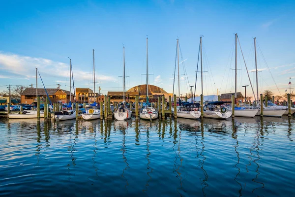 Sailboats in a marina at sunset, in Annapolis, Maryland. — Stock Photo, Image
