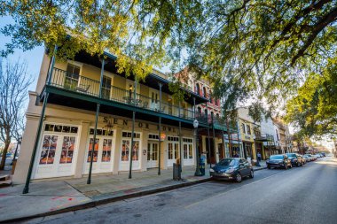 Mobile, Alabama Dauphin cadde boyunca ağaçlar ve binalar.