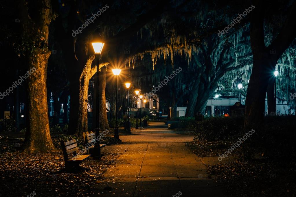 Bancos y árboles con musgo español a lo largo de una pasarela por la
