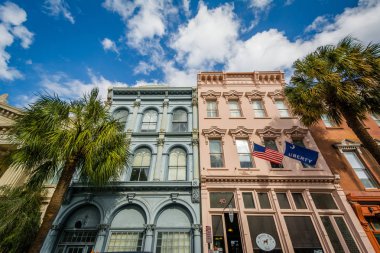 Binalar ve palmiye ağaçları içinde Charleston, Sout geniş cadde boyunca