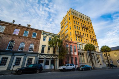 Binalar ve palmiye ağaçları içinde Charleston, Sout geniş cadde boyunca