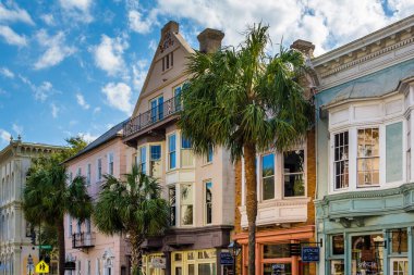 Binalar ve palmiye ağaçları içinde Charleston, Sout geniş cadde boyunca