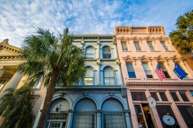 Binalar ve palmiye ağaçları içinde Charleston, Sout geniş cadde boyunca