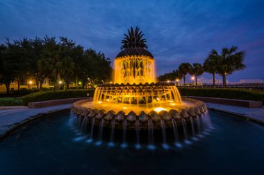 Gece, ananas Çeşmede Charl Waterfront Park'ta