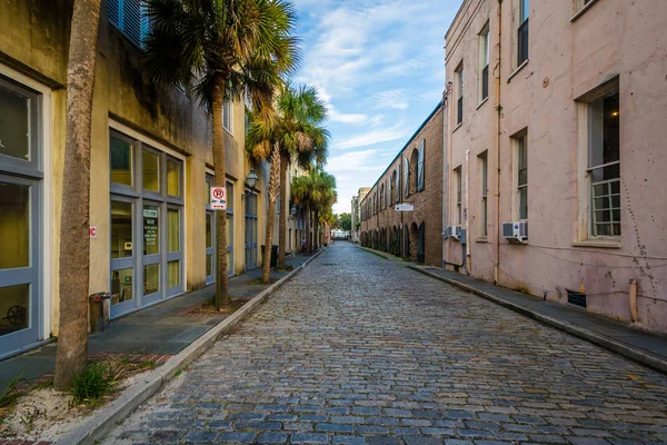 Arnavut kaldırımlı Charleston, South Carolina sokak. — Stok fotoğraf